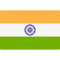 india india